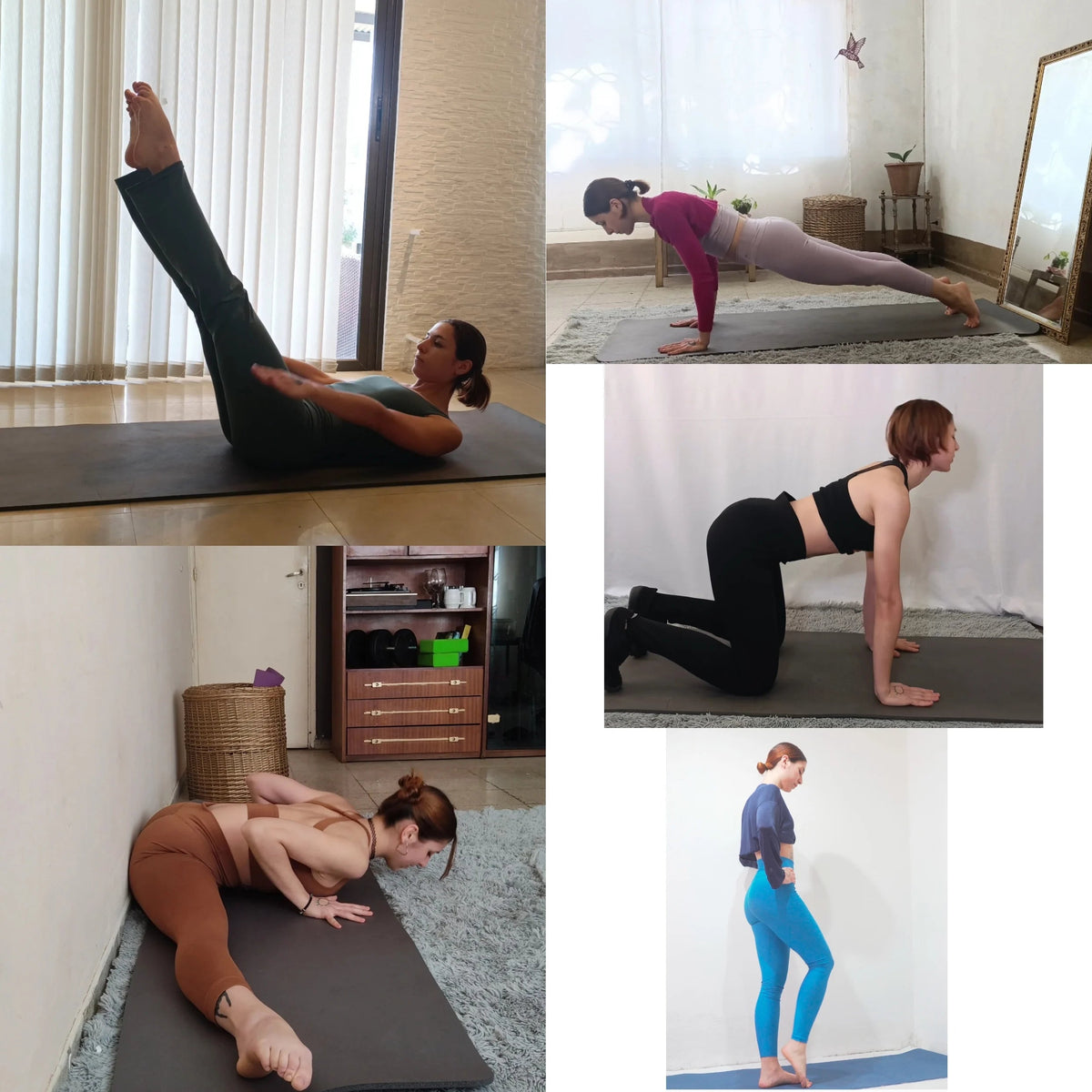 Trans Femme Fitness Program